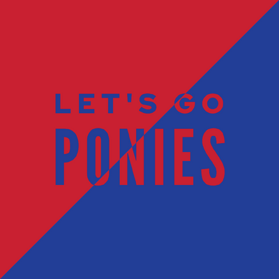 Load image into Gallery viewer, Tailgate Series Bags (Set of 8) - Let's Go Ponies
